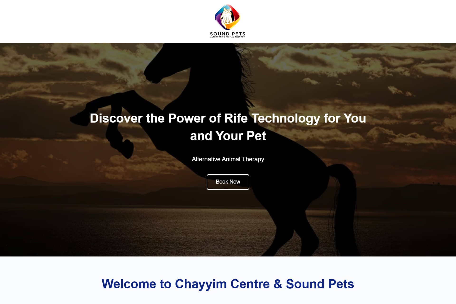 Sound Pets Responsive Website Design by Pro Web Design